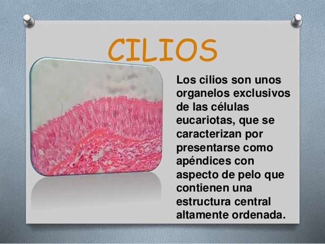 Biologia