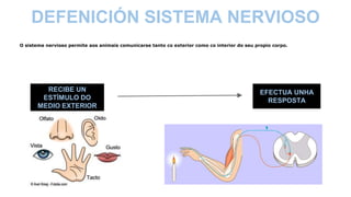 DEFENICIÓN SISTEMA NERVIOSO
O sistema nervioso permite aos animais comunicarse tanto co exterior como co interior do seu propio corpo.
RECIBE UN
ESTÍMULO DO
MEDIO EXTERIOR
EFECTUA UNHA
RESPOSTA
 