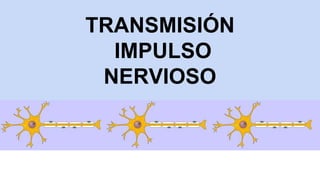 TRANSMISIÓN
IMPULSO
NERVIOSO
 