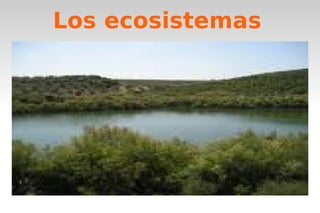 Los ecosistemas 