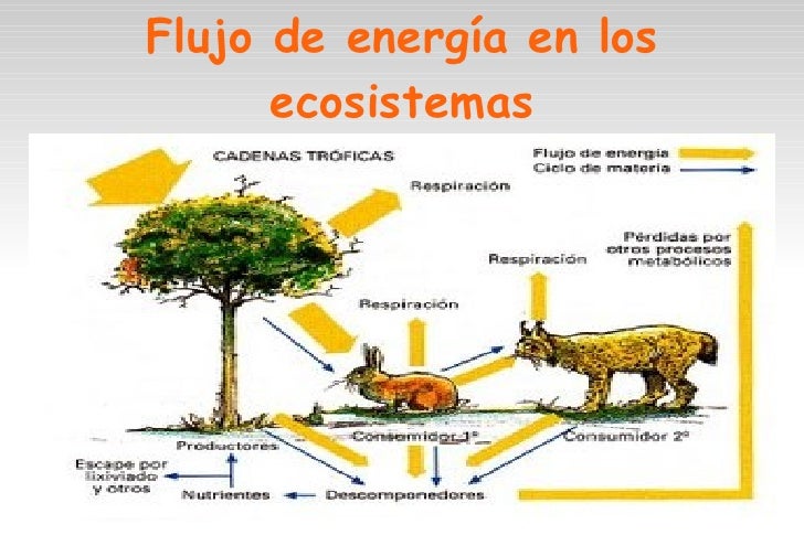 Biologia presentacion ecosistemas