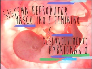 BIOLOGIA - Embriologia