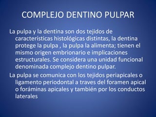 COMPLEJO DENTINO PULPAR 
La pulpa y la dentina son dos tejidos de características histológicas distintas, la dentina protege la pulpa , la pulpa la alimenta; tienen el mismo origen embrionario e implicaciones estructurales. Se considera una unidad funcional denominada complejo dentino pulpar. 
La pulpa se comunica con los tejidos periapicales o ligamento periodontal a traves del foramen apical o foráminas apicales y también por los conductos laterales  
