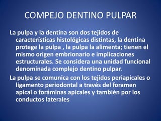 COMPEJO DENTINO PULPAR 
La pulpa y la dentina son dos tejidos de características histológicas distintas, la dentina protege la pulpa , la pulpa la alimenta; tienen el mismo origen embrionario e implicaciones estructurales. Se considera una unidad funcional denominada complejo dentino pulpar. 
La pulpa se comunica con los tejidos periapicales o ligamento periodontal a través del foramen apical o foráminas apicales y también por los conductos laterales  