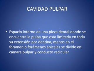 CAVIDAD PULPAR 
•Espacio interno de una pieza dental donde se encuentra la pulpa que esta limitada en toda su extensión por dentina, menos en el foramen o forámenes apicales se divide en: cámara pulpar y conducto radicular  