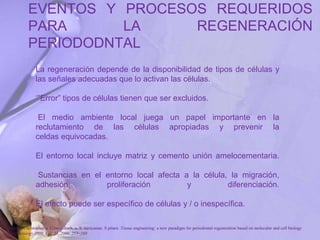 EVENTOS Y PROCESOS REQUERIDOS
PARA LA REGENERACIÓN
PERIODODNTAL
La regeneración depende de la disponibilidad de tipos de células y
las señales adecuadas que lo activan las células.
‘”Error” tipos de células tienen que ser excluidos.
El medio ambiente local juega un papel importante en la
reclutamiento de las células apropiadas y prevenir la
celdas equivocadas.
El entorno local incluye matriz y cemento unión amelocementaria.
Sustancias en el entorno local afecta a la célula, la migración,
adhesión, proliferación y diferenciación.
El efecto puede ser específico de células y / o inespecífica.
P. Bartold, Christopher a. G.mcculloch, a. S. narayanan. S pitaru .Tissue engineering: a new paradigm for periodontal regeneration based on molecular and cell biology
. Periodontology 2000, Vol. 24, 2000, 253–269
 