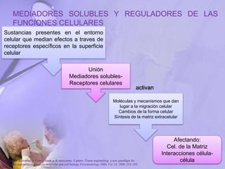MEDIADORES SOLUBLES Y REGULADORES DE LAS
FUNCIONES CELULARES
Sustancias presentes en el entorno
celular que median efectos a traves de
receptores específicos en la superficie
celular
Unión
Mediadores solubles-
Receptores celulares
activan
Moléculas y mecanismos que dan
lugar a la migración celular
Cambios de la forma celular
Síntesis de la matriz extracelular
Afectando:
Cel. de la Matriz
Interacciones célula-
célula
P. Bartold, Christopher a. G.mcculloch, a. S. narayanan. S pitaru .Tissue engineering: a new paradigm for
periodontal regeneration based on molecular and cell biology Periodontology 2000, Vol. 24, 2000, 253–269
 