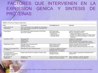 FACTORES QUE INTERVIENEN EN LA
EXPRESION GENICA Y SINTESIS DE
PROTEINAS
P. Bartold, Christopher a. G.mcculloch, a. S. narayanan. S pitaru .Tissue engineering: a new paradigm for periodontal regeneration based on molecular and cell biology
. Periodontology 2000, Vol. 24, 2000, 253–269
 