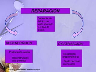 REPARACION
REGENERACION CICATRIZACION
Dependiendo
del tipo de
tejido afectado
y el tipo de
lesión.
-
- Proliferación celular
- Reconstrucción
casi perfecta
-Reparación
propiamente tal
- Tejido nervioso
permanente
Jaime Arias. Generalidades médico-quirúrgicas
 