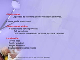 Células madre:
- Capacidad de autorrenovación y replicación asimétrica.
Células madre embrionarias
Células madre adultas
Células madre hematopoyéticas:
Cel. sanguíneas
Otras células: hepatocitos, neuronas, moblaste cardiacos
Localización:
Médula ósea
Cordón umbilical
Sangre estimulada
Células madre tisulares: nichos
Robbins, S. Cotran, R. Kumar, V. Patología Humana, 7ma Ed. 2005, WB Saunders Philadelphia
 
