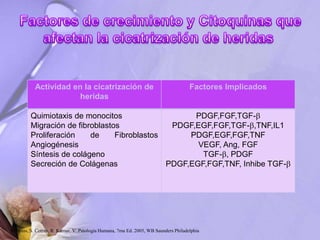 Actividad en la cicatrización de
heridas
Factores Implicados
Quimiotaxis de monocitos
Migración de fibroblastos
Proliferación de Fibroblastos
Angiogénesis
Síntesis de colágeno
Secreción de Colágenas
PDGF,FGF,TGF-
PDGF,EGF,FGF,TGF-,TNF,IL1
PDGF,EGF,FGF,TNF
VEGF, Ang, FGF
TGF-, PDGF
PDGF,EGF,FGF,TNF, Inhibe TGF-
Robbins, S. Cotran, R. Kumar, V. Patología Humana, 7ma Ed. 2005, WB Saunders Philadelphia
 