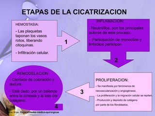 ETAPAS DE LA CICATRIZACION
PROLIFERACION:
- Se manifiesta por fenómenos de
neovascularización y angiogénesis.
- La proliferación y la migración celular se repiten.
- Producción y depósito de colágeno
por parte de los fibroblastos,
1
2
3
4
HEMOSTASIA:
- Las plaquetas
taponan los vasos
rotos, liberando
citoquinas.
- Infiltración celular.
INFLAMACION:
- Neutrófilos, son los principales
actores de este proceso.
- Participación de monocitos y
linfocitos participan
REMODELACION
- Cambios de coloración y
textura
- Está dado, por un balance
entre la síntesis y la lisis del
colágeno.
Jaime Arias. Generalidades médico-quirúrgicas
 