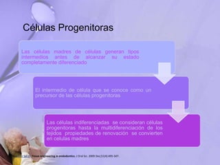 Células Progenitoras
Saber Sel-D. Tissue engineering in endodontics. J Oral Sci. 2009 Dec;51(4):495-507.
Las células madres de células generan tipos
intermedios antes de alcanzar su estado
completamente diferenciado
El intermedio de célula que se conoce como un
precursor de las células progenitoras
Las células indiferenciadas se consideran células
progenitoras hasta la multidiferenciación de los
tejidos propiedades de renovación se convierten
en celulas madres
 