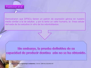 Paakkonen et al.
Demostraron que DPSCs tienen un patrón de expresión génica en nuestro
medio similar a la de adultos y por lo tanto un valor humano, la línea celular
derivada de los estudios in vitro de los odontoblastos.
Saber Sel-D. Tissue engineering in endodontics. J Oral Sci. 2009 Dec;51(4):495-507.
 