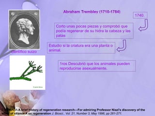 T S OKADA A brief history of regeneration research—For admiring Professor Niazi's discovery of the
effect of vitamin A on regeneration J. Biosci., Vol. 21, Number 3, May 1996, pp 261-271.
científico suizo
1740.
Corto unas pocas piezas y comprobó que
podía regenerar de su hidra la cabeza y las
patas
Estudio si la criatura era una planta o
animal.
1ros Descubrió que los animales pueden
reproducirse asexualmente.
 