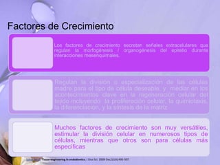 Factores de Crecimiento
Los factores de crecimiento secretan señales extracelulares que
regulan la morfogénesis / organogénesis del epitelio durante
interacciones mesenquimales.
Regulan la división o especialización de las células
madre para el tipo de célula deseable, y mediar en los
acontecimientos clave en la regeneración celular del
tejido incluyendo la proliferación celular, la quimiotaxis,
la diferenciación, y la síntesis de la matriz
Muchos factores de crecimiento son muy versátiles,
estimular la división celular en numerosos tipos de
células, mientras que otros son para células más
específicas
Saber Sel-D. Tissue engineering in endodontics. J Oral Sci. 2009 Dec;51(4):495-507.
 