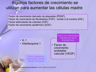 Algunos factores de crecimiento se
utilizan para aumentar las células madre
Factor de crecimiento derivado de plaquetas (PDGF),
Factor de crecimiento de fibroblastos (FGF) , similar a la insulina (IGF),
Factor estimulante de colonias (CSF)
Factor de crecimiento epidérmico (EGF).
• IL 1
• Interleuquina 1
Otros modular la
respuestas inmune
celular y humoral
• Factor de
crecimiento
endotelial
vascular (VEGF)
Otros son importantes
reguladores de la
angiogénesis
Saber Sel-D. Tissue engineering in endodontics. J Oral Sci. 2009 Dec;51(4):495-507.
 