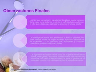 Las técnicas para aislar y caracterizar la células madre humanas
de la pulpa y manipular su crecimiento definido bajo condiciones
in vitro que establezcan optimizarse antes de la terapia celular
La investigación actual está estudiando la fórmula perfecta para
unas células madre de origen autólogo, apropiada señalización
de moléculas y un andamio que promuevan y controlen
crecimiento y diferenciación de células
La ingeniería de tejidos con la tríada de la pulpa dental células
madre, morfogenes y andamios pueden ofrecer una innovadora y
novedosa con base biológica/o enfoque para la generación de
materiales clínicos y / o tratamientos para la enfermedad dental
Saber Sel-D. Tissue engineering in endodontics. J Oral Sci. 2009 Dec;51(4):495-507.
 