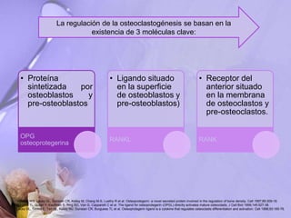 La regulación de la osteoclastogénesis se basan en la
existencia de 3 moléculas clave:
• Proteína
sintetizada por
osteoblastos y
pre-osteoblastos
OPG
osteoprotegerina
• Ligando situado
en la superficie
de osteoblastos y
pre-osteoblastos)
RANKL
• Receptor del
anterior situado
en la membrana
de osteoclastos y
pre-osteoclastos.
RANK
Simonet WS, Lacey DL, Dunstan CR, Kelley M, Chang M-S, Luethy R et al. Osteoprotegerin: a novel secreted protein involved in the regulation of bone density. Cell 1997;89:309-19.
Burgess TL, Quian Y, Kaufman S, Ring BD, Van G, Capparelli C et al. The ligand for osteoprotegerin (OPGL) directly activates mature osteoclasts. J Cell Biol 1999;145:527-38.
Lacey DL, Timms E, Tan HL, Kelley MJ, Dunstan CR, Burguess TL et al. Osteoprotegerin ligand is a cytokine that regulates osteoclasts differentiation and activation. Cell 1998;93:165-76.
 