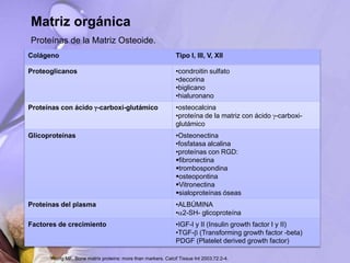 Matriz orgánica
Proteínas de la Matriz Osteoide.
Colágeno Tipo I, III, V, XII
Proteoglicanos •condroitin sulfato
•decorina
•biglicano
•hialuronano
Proteínas con ácido -carboxi-glutámico •osteocalcina
•proteína de la matriz con ácido -carboxi-
glutámico
Glicoproteínas •Osteonectina
•fosfatasa alcalina
•proteínas con RGD:
fibronectina
trombospondina
osteopontina
Vitronectina
sialoproteínas óseas
Proteínas del plasma •ALBÚMINA
•2-SH- glicoproteína
Factores de crecimiento •IGF-I y II (Insulin growth factor I y II)
•TGF- (Transforming growth factor -beta)
PDGF (Platelet derived growth factor)
Young MF. Bone matrix proteins: more than markers. Calcif Tissue Int 2003;72:2-4.
 