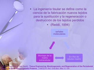 • La ingeniería tisular se define como la
ciencia de la fabricación nuevos tejidos
para la sustitución y la regeneración o
destrucción de los tejidos perdidos
• (Reddi, 1994)
señales
moleculares
En Rta de
celulas madre
Montaje de la
matriz
extracelular
Ugo Ripamonti and A. Hari Reddi. Tissue Engineering, Morphogenesis, and Regeneration of the Periodontal
Tissues By Bone Morphogenetic Proteins . (1997)Crit. Rev. Oral Biol. Med. 8; 154
 