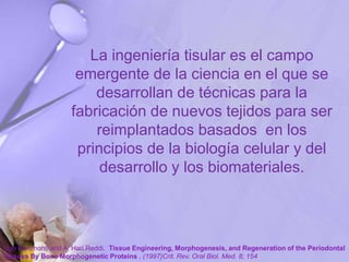 La ingeniería tisular es el campo
emergente de la ciencia en el que se
desarrollan de técnicas para la
fabricación de nuevos tejidos para ser
reimplantados basados en los
principios de la biología celular y del
desarrollo y los biomateriales.
Ugo Ripamonti and A. Hari Reddi. Tissue Engineering, Morphogenesis, and Regeneration of the Periodontal
Tissues By Bone Morphogenetic Proteins . (1997)Crit. Rev. Oral Biol. Med. 8; 154
 
