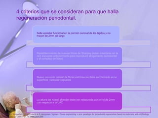 Selle epitelial funcional en la porción coronal de los tejidos y no
mayor de 2mm de largo
Restablecimiento de nuevas fibras de Sharpey deben insertarse en la
raíz expuesta anteriormente para reproducir el ligamento periodontal
y el complejo de fibras
Nuevo cemento celular de fibras extrínsecas debe ser formado en la
superficie radicular expuesta
La altura del hueso alveolar debe ser restaurada aun nivel de 2mm
con respecto a la UAC
4 criterios que se consideran para que halla
regeneración periodontal.
P. Bartold, Christopher a. G.mcculloch, a. S. narayanan. S pitaru .Tissue engineering: a new paradigm for periodontal regeneration based on molecular and cell biology
. Periodontology 2000, Vol. 24, 2000, 253–269
 