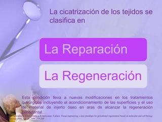 La cicatrización de los tejidos se
clasifica en
La Reparación
La Regeneración
Esta condición lleva a nuevas modificaciones en los tratamientos
quirúrgicos incluyendo el acondicionamiento de las superficies y el uso
de material de injerto óseo en aras de alcanzar la regeneración
periodontal
P. Bartold, Christopher a. G.mcculloch, a. S. narayanan. S pitaru .Tissue engineering: a new paradigm for periodontal regeneration based on molecular and cell biology
. Periodontology 2000, Vol. 24, 2000, 253–269
 