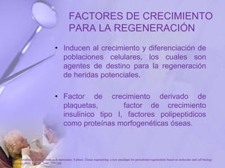 FACTORES DE CRECIMIENTO
PARA LA REGENERACIÓN
• Inducen al crecimiento y diferenciación de
poblaciones celulares, los cuales son
agentes de destino para la regeneración
de heridas potenciales.
• Factor de crecimiento derivado de
plaquetas, factor de crecimiento
insulinico tipo I, factores polipeptidicos
como proteínas morfogenéticas óseas.
P. Bartold, Christopher a. G.mcculloch, a. S. narayanan. S pitaru .Tissue engineering: a new paradigm for periodontal regeneration based on molecular and cell biology
. Periodontology 2000, Vol. 24, 2000, 253–269
 