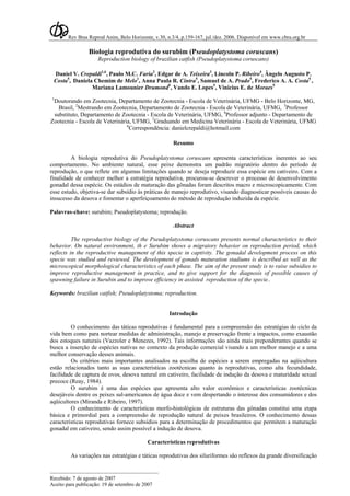 Rev Bras Reprod Anim, Belo Horizonte, v.30, n.3/4, p.159-167, jul./dez. 2006. Disponível em www.cbra.org.br
_________________________________________
Recebido: 7 de agosto de 2007
Aceito para publicação: 19 de setembro de 2007
Biologia reprodutiva do surubim (Pseudoplatystoma coruscans)
Reproduction biology of brazilian catfish (Pseudoplatystoma coruscans)
Daniel V. Crepaldi1,6
, Paulo M.C. Faria2
, Edgar de A. Teixeira3
, Lincoln P. Ribeiro4
, Ângelo Augusto P.
Costa5
, Daniela Chemim de Melo1
, Anna Paula R. Cintra5
, Samuel de A. Prado5
, Frederico A. A. Costa5
,
Mariana Lamounier Drumond5
, Vando E. Lopes5
, Vinícius E. de Moraes5
1
Doutorando em Zootecnia, Departamento de Zootecnia - Escola de Veterinária, UFMG - Belo Horizonte, MG,
Brasil, 2
Mestrando em Zootecnia, Departamento de Zootecnia - Escola de Veterinária, UFMG, 3
Professor
substituto, Departamento de Zootecnia - Escola de Veterinária, UFMG, 4
Professor adjunto - Departamento de
Zootecnia - Escola de Veterinária, UFMG, 5
Graduando em Medicina Veterinária - Escola de Veterinária, UFMG
6
Correspondência: danielcrepaldi@hotmail.com
Resumo
A biologia reprodutiva do Pseudoplatystoma coruscans apresenta características inerentes ao seu
comportamento. No ambiente natural, esse peixe demonstra um padrão migratório dentro do período de
reprodução, o que reflete em algumas limitações quando se deseja reproduzir essa espécie em cativeiro. Com a
finalidade de conhecer melhor a estratégia reprodutiva, procurou-se descrever o processo de desenvolvimento
gonadal dessa espécie. Os estádios de maturação das gônadas foram descritos macro e microscopicamente. Com
esse estudo, objetiva-se dar subsídio às práticas de manejo reprodutivo, visando diagnosticar possíveis causas do
insucesso da desova e fomentar o aperfeiçoamento do método de reprodução induzida da espécie.
Palavras-chave: surubim; Pseudoplatystoma; reprodução.
Abstract
The reproductive biology of the Pseudoplatystoma coruscans presents normal characteristics to their
behavior. On natural environment, th e Surubim shows a migratory behavior on reproduction period, which
reflects in the reproductive management of this specie in captivity. The gonadal development process on this
specie was studied and reviewed. The development of gonads maturation stadiums is described as well as the
microscopical morphological characteristics of each phase. The aim of the present study is to raise subsidies to
improve reproductive management in practice, and to give support for the diagnosis of possible causes of
spawning failure in Surubin and to improve efficiency in assisted reproduction of the specie..
Keywords: brazilian catfish; Pseudoplatystoma; reproduction.
Introdução
O conhecimento das táticas reprodutivas é fundamental para a compreensão das estratégias do ciclo da
vida bem como para nortear medidas de administração, manejo e preservação frente a impactos, como exaustão
dos estoques naturais (Vazzoler e Menezes, 1992). Tais informações são ainda mais preponderantes quando se
busca a inserção de espécies nativas no contexto da produção comercial visando a um melhor manejo e a uma
melhor conservação desses animais.
Os critérios mais importantes analisados na escolha de espécies a serem empregadas na aqüicultura
estão relacionados tanto as suas características zootécnicas quanto às reprodutivas, como alta fecundidade,
facilidade de captura de ovos, desova natural em cativeiro, facilidade de indução da desova e maturidade sexual
precoce (Reay, 1984).
O surubim é uma das espécies que apresenta alto valor econômico e características zootécnicas
desejáveis dentre os peixes sul-americanos de água doce e vem despertando o interesse dos consumidores e dos
aqüicultores (Miranda e Ribeiro, 1997).
O conhecimento de características morfo-histológicas de estruturas das gônadas constitui uma etapa
básica e primordial para a compreensão de reprodução natural de peixes brasileiros. O conhecimento dessas
características reprodutivas fornece subsídios para a determinação de procedimentos que permitem a maturação
gonadal em cativeiro, sendo assim possível a indução de desova.
Características reprodutivas
As variações nas estratégias e táticas reprodutivas dos siluriformes são reflexos da grande diversificação
 