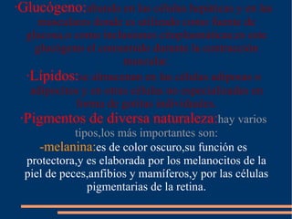 -Inclusiones hidrófobas de células vegetales