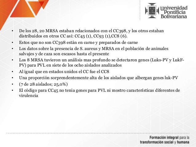 Staphylococcus aureus con PVL positivo en jabalíes.