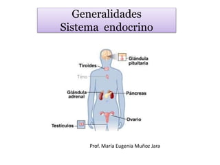 Generalidades
Sistema endocrino
Prof. María Eugenia Muñoz Jara
 
