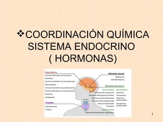 COORDINACIÓN QUÍMICA
 SISTEMA ENDOCRINO
     ( HORMONAS)




                        1
 