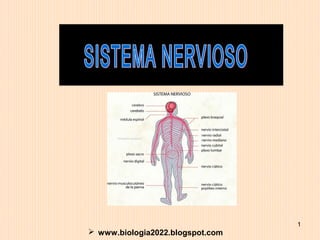 1

 www.biologia2022.blogspot.com

 