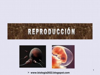 1

 www.biologia2022.blogspot.com

 