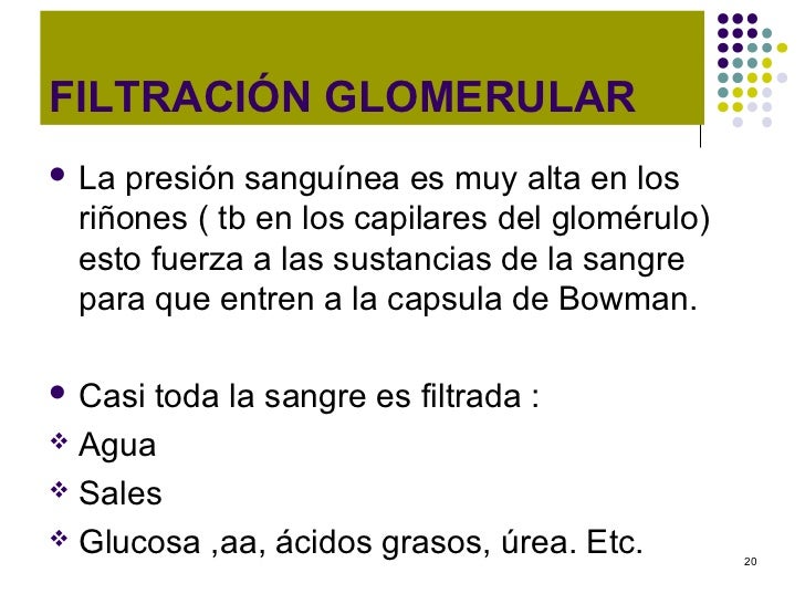 El dolor el cuello el vértigo