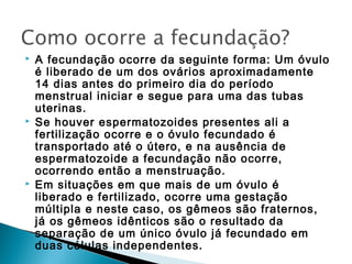    A fecundação ocorre da seguinte forma: Um óvulo
    é liberado de um dos ovários aproximadamente
    14 dias antes do primeiro dia do período
    menstrual iniciar e segue para uma das tubas
    uterinas.
   Se houver espermatozoides presentes ali a
    fertilização ocorre e o óvulo fecundado é
    transportado até o útero, e na ausência de
    espermatozoide a fecundação não ocorre,
    ocorrendo então a menstruação.
   Em situações em que mais de um óvulo é
    liberado e fertilizado, ocorre uma gestação
    múltipla e neste caso, os gêmeos são fraternos,
    já os gêmeos idênticos são o resultado da
    separação de um único óvulo já fecundado em
    duas células independentes.
 