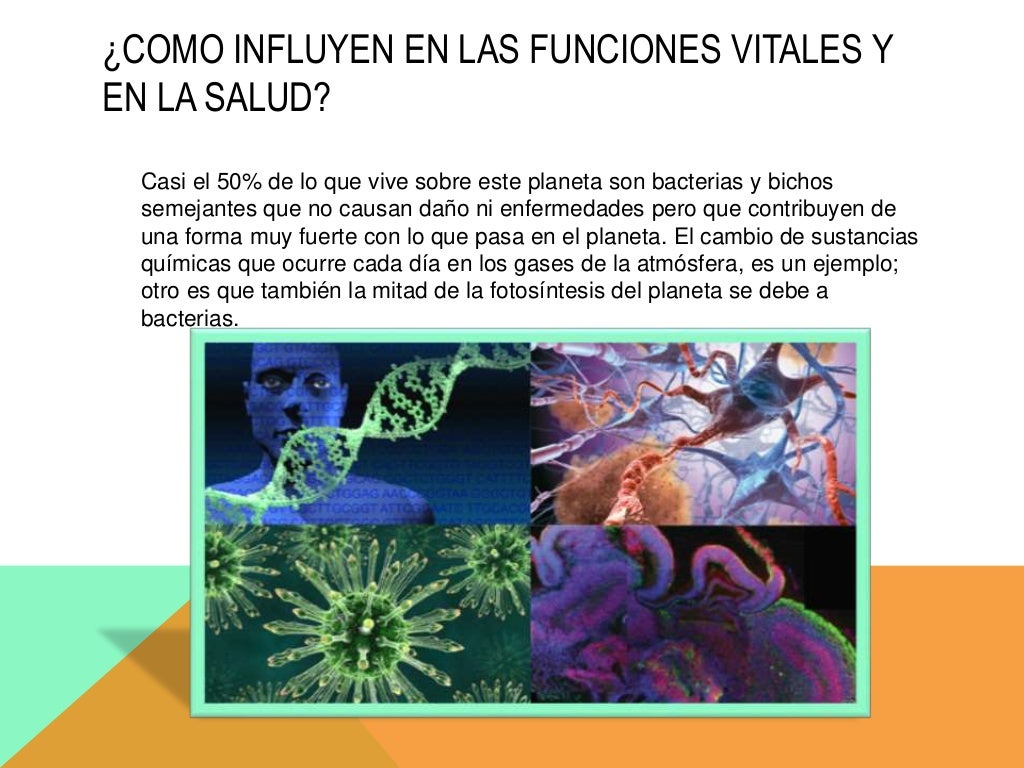 Biologia,tecnologia y sociedad
