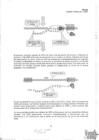 Biologia teorico (2014)