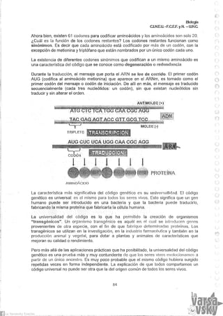 Biologia teorico (2014)