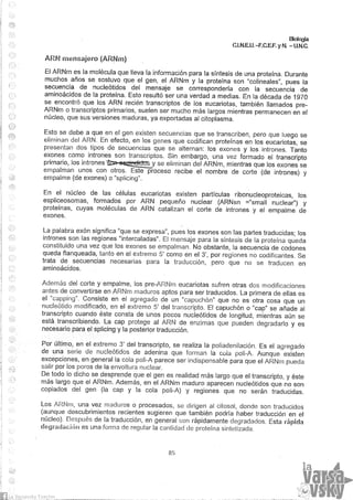 Biologia teorico (2014)
