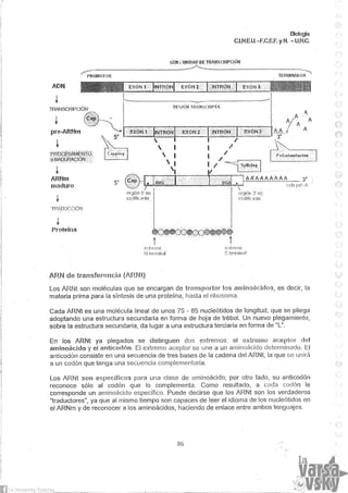 Biologia teorico (2014)