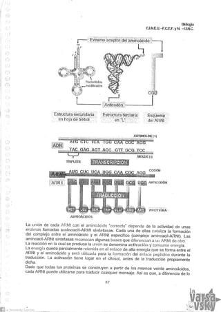 Biologia teorico (2014)