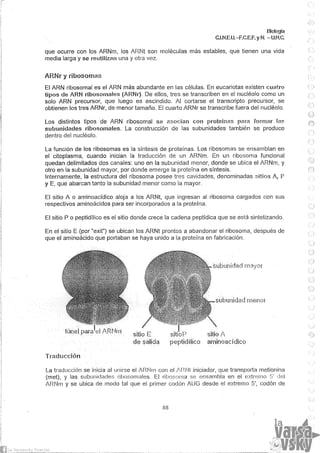 Biologia teorico (2014)