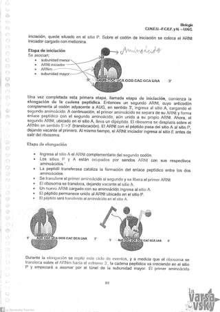 Biologia teorico (2014)