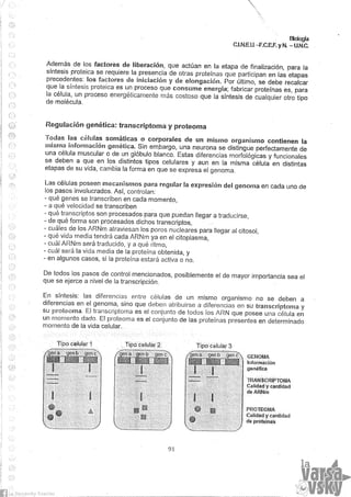Biologia teorico (2014)