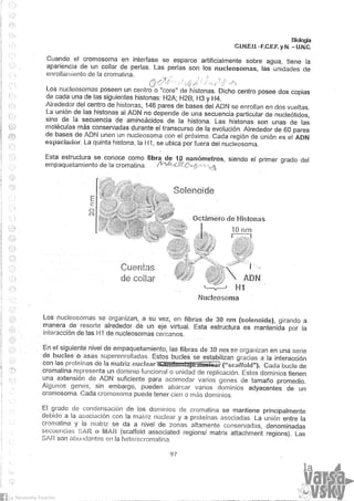Biologia teorico (2014)