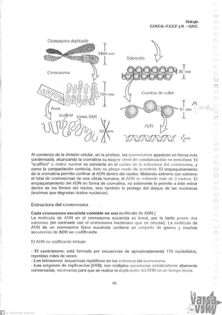 Biologia teorico (2014)