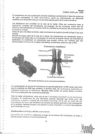 Biologia teorico (2014)